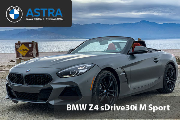 BMW Z4 sDrive30i M Sport